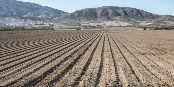 Agrupaciones de Terrenos agrícolas